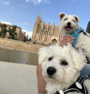Palma