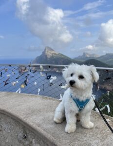 Mirador de Es Colomer