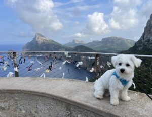 Mirador de Es Colomer
