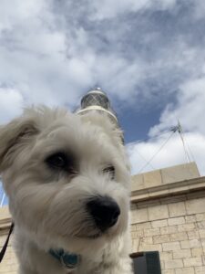 Cap Formentor