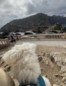 Cap Formentor