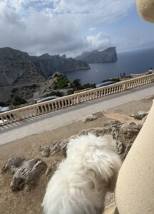 Cap Formentor
