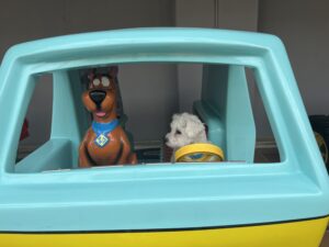Mit Scooby-Doo im Bully... Cala Millor